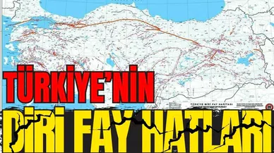 Türkiye'de bu 45 il diri fay hattı üzerinde