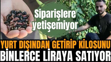 Türkiye'de tek! Yurt dışından getirip kilosunu 100 bin TL'den satıyor