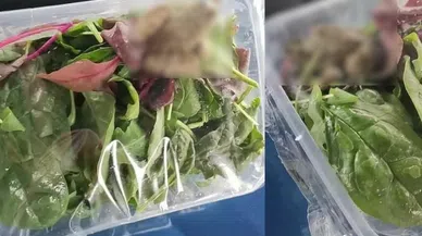 Marketten aldığı salatadan öyle bir şey çıktı ki