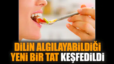 Dilin algılayabildiği yeni bir tat keşfedildi