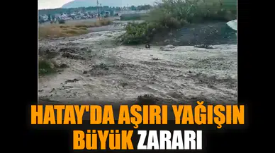 Hatay'da aşırı yağışın büyük zararı