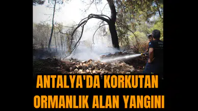 Antalya'da korkutan ormanlık alan yangını
