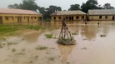 Nijerya'nın Adamawa eyaletinde sel: 33 ölü