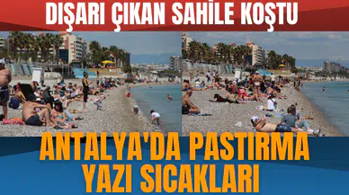 Antalya'da pastırma yazı sıcakları: Dışarı çıkan sahile koştu
