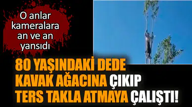 80 yaşındaki dede kavak ağacında ters takla atmaya çalıştı!