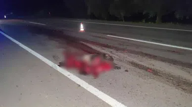 Bursa'da domuza çarpan araç zeytinliğe uçtu: 2 ölü