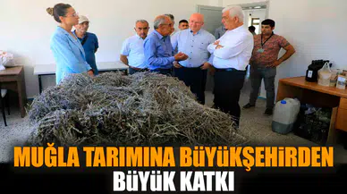 Muğla tarımına büyükşehirden büyük katkı