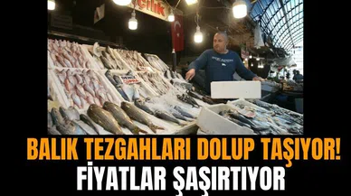 Balık tezgahları dolup taşıyor! Fiyatlar şaşırtıyor