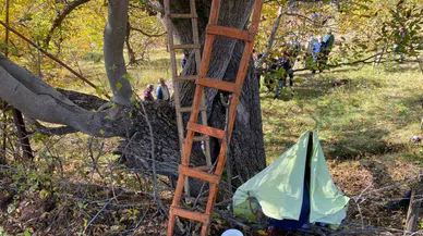 Ceviz toplamak için ağaçtan düşüp demire saplandı
