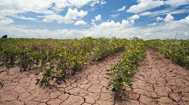 Yaşar Üniversitesi'nden uyarı: Ege Bölgesi için ciddi kuraklık alarmı