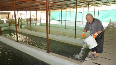 Antalya'da hobi olarak başladı şimdi milyonlarca üretiyor