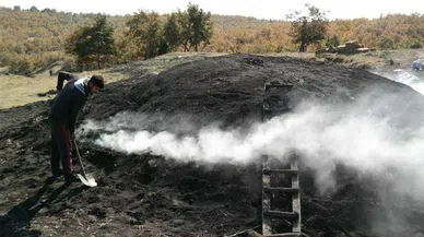 Mangal kömürü yapmak için 5 ay 1200 rakımda mesai