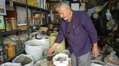 Kış aylarında sağlığınızı destekleyecek o bitki