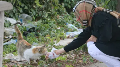 Sokak hayvanlarının umudu! Koca yürekli o kadın!