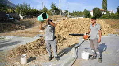 Çandır Fasulyesinde Hasat Zamanı: Lezzetiyle Ünlenen Ürün Toplandı