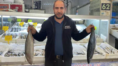 Balık pazarlarında canlılık geri döndü!