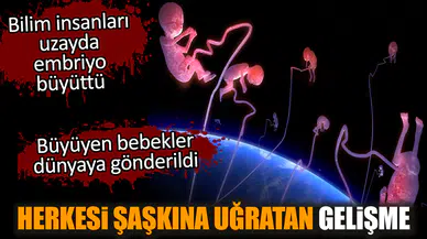 Bilim insanları uzayda embriyo büyüttü