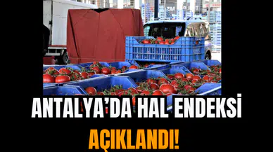 Antalya’da Hal Endeksi Açıklandı!