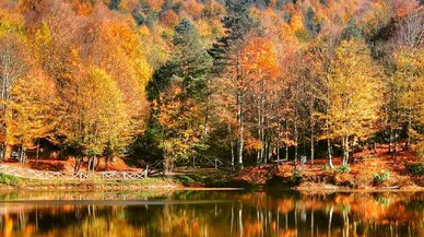 Düzce' de büyüleyici güzellik