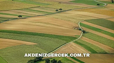 Antalya Serik'te 9.412 m² mahkemeden satılık tarla