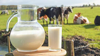 Süte gece yarısı zam geldi! Market fiyatları hemen değişti