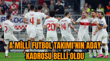 A Milli Futbol Takımı'nın aday kadrosu belli oldu