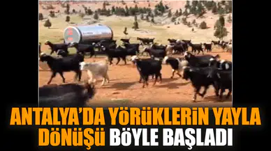 Antalya’da Yörüklerin yayla dönüşü böyle başladı