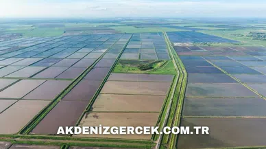 Denizli Pamukkale'de satılık 4.279 m² tarla