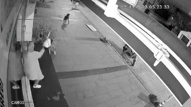 Dükkanı açan kadına köpek dehşeti!