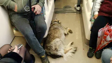 Soğuk günlerde içinizi ısıtan bir manzara