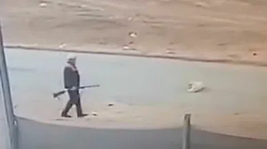 Sahipsiz Köpeğin Acı Sonu: Av Tüfeğiyle Hayatını Kaybetti