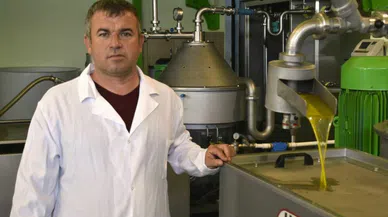 Pazarda satılan ucuz zeytinyağları sahte olabilir!