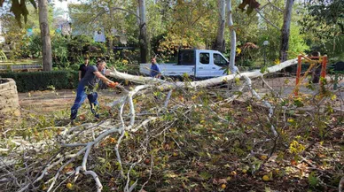 Kozanda ağaçları yerinden koparan fırtına!