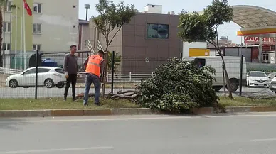 Antalya Büyükşehir Ekipleri Fırtınayla Çalıştı!