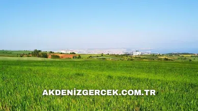 Antalya Manavgat'ta mahkemeden satılık 4.500 m² arsa