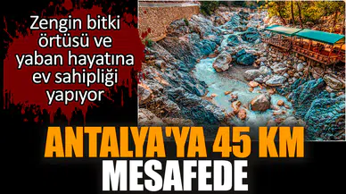 Antalya'ya 45 km mesafede zengin bitki örtüsü ve yaban hayatına ev sahipliği yapıyor