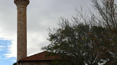 Kapadokya'da eşsiz 100 yıllık Japon Soforası