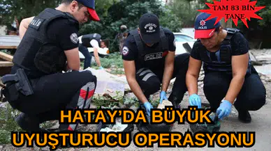 Hatay' da büyük uy*şturucu operasyonu tam 83 bin tane