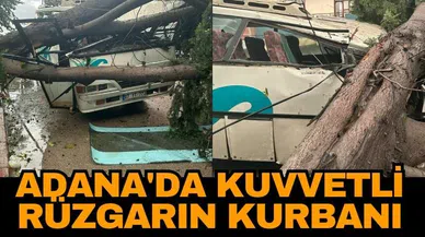 Adana'da kuvvetli rüzgarın kurbanı! Midibüs ağaç devrilmesi sonucu hurdaya döndü