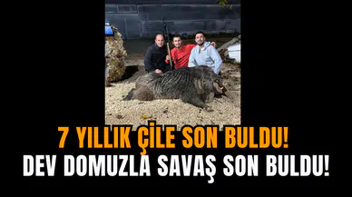 7 yıllık çile son buldu! Dev Domuzla Savaş Son Buldu!