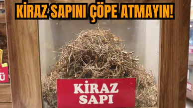 Kiraz sapını çöpe atmayın!