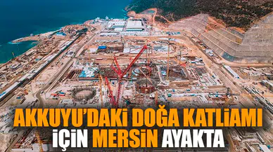 Akkuyu’daki doğa katliamı için Mersin ayakta