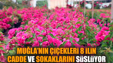 Muğla’nın çiçekleri 8 ilin cadde ve sokaklarını süslüyor