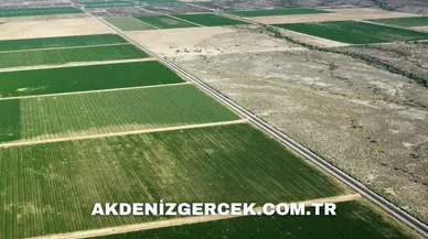 Antalya Manavgat'ta mahkemeden satılık 14.791 m² tarla