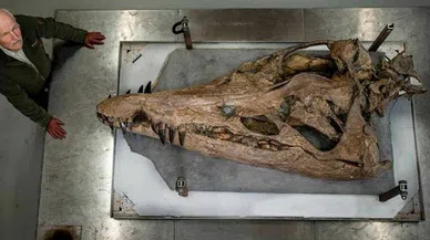 Jurassic'te 150 milyon yıllık devasa kafatası bulundu!