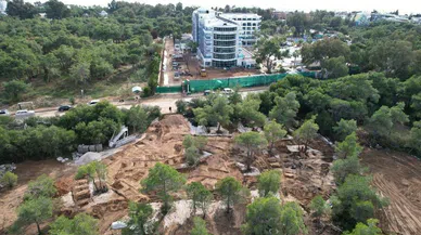 Antalya'da 5 yıldızlı otele suç duyurusu! Ormanı işgal edip egzotik ağaç diktiler