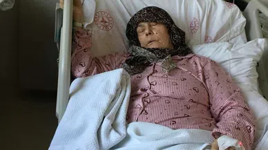 Köpeklerin saldırısına uğrayan yaşlı kadın hastanelik oldu