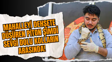 Mahalleyi Dehşete Düşüren Piton Şimdi Sevgi Dolu Kolların Arasında!