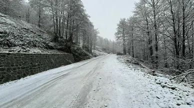 Artvin'de kar 13 köy yolunu kapattı