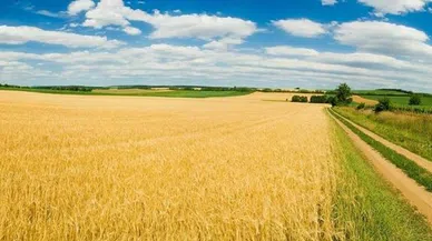 “Tarım alanları betona teslim”